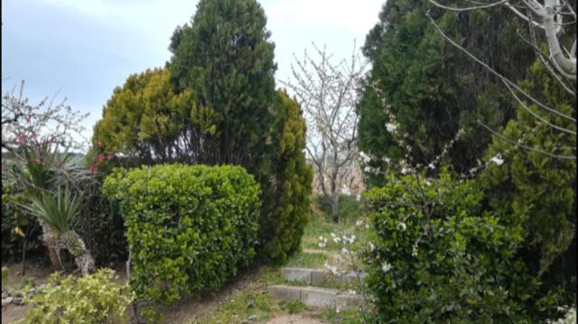 Apartamento Sa Chiriasa Monti Exterior foto